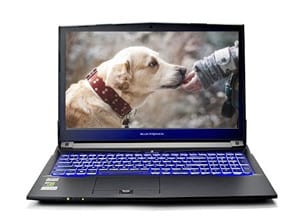 Eluktronics N870HP6 Pro-X Gaming Laptop